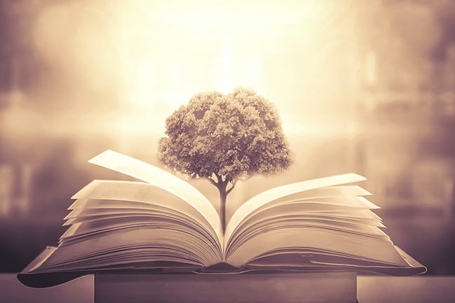 The concept of education by planting a tree of knowledge in the opening of an old book in the library and the magical magic of light that flies to the destination of success.