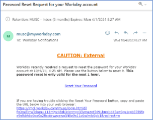 Screenshot of password reset request for workday account