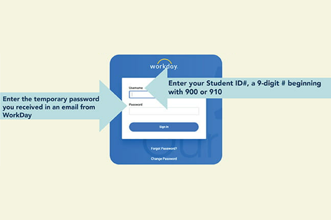 Infographic about resetting your WorkDay account