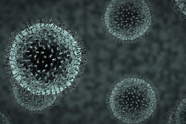 microscopic pic of coronavirus