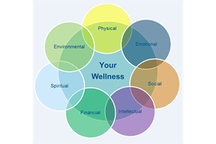 Multicolored ven diagram of Hettler's Wellness Wheel, modified to support the MUSC mission