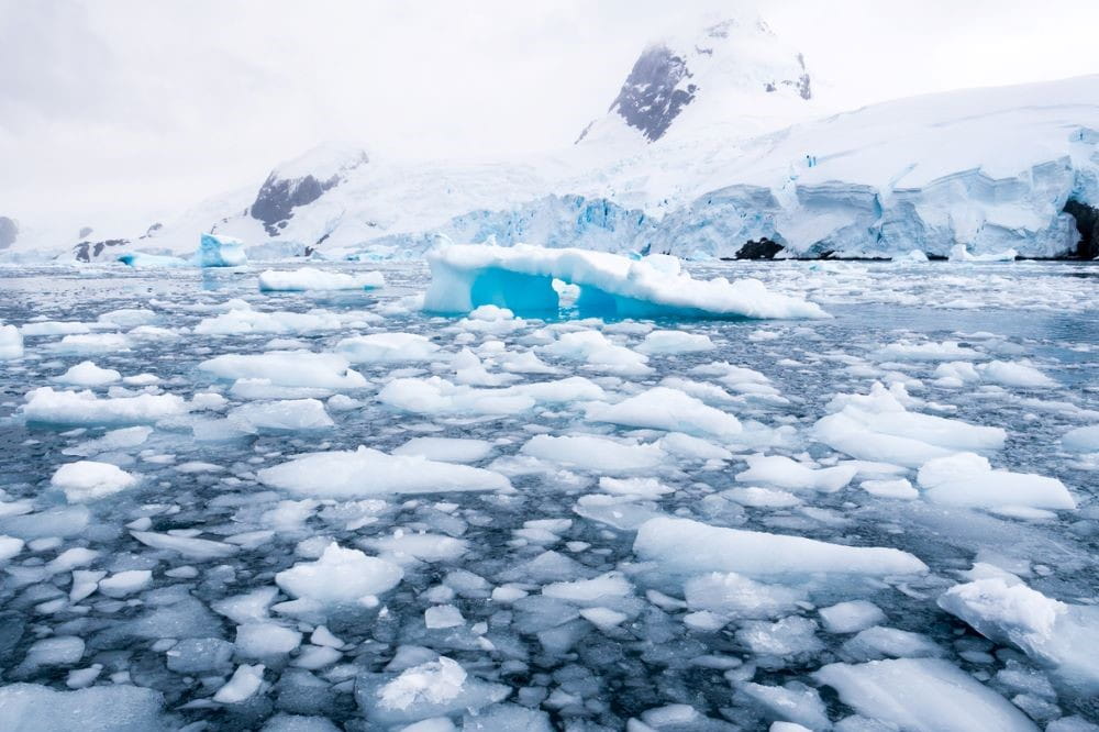 Floating ice floes, drift ice in Cierva Cove in Hughes Bay, Graham Land, Antarctic Peninsula, Antarctica