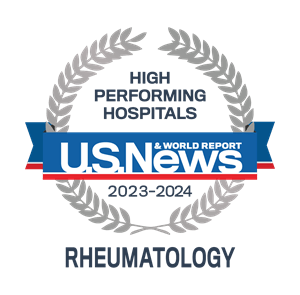 USNWR High Performing 2023-24 Emblem