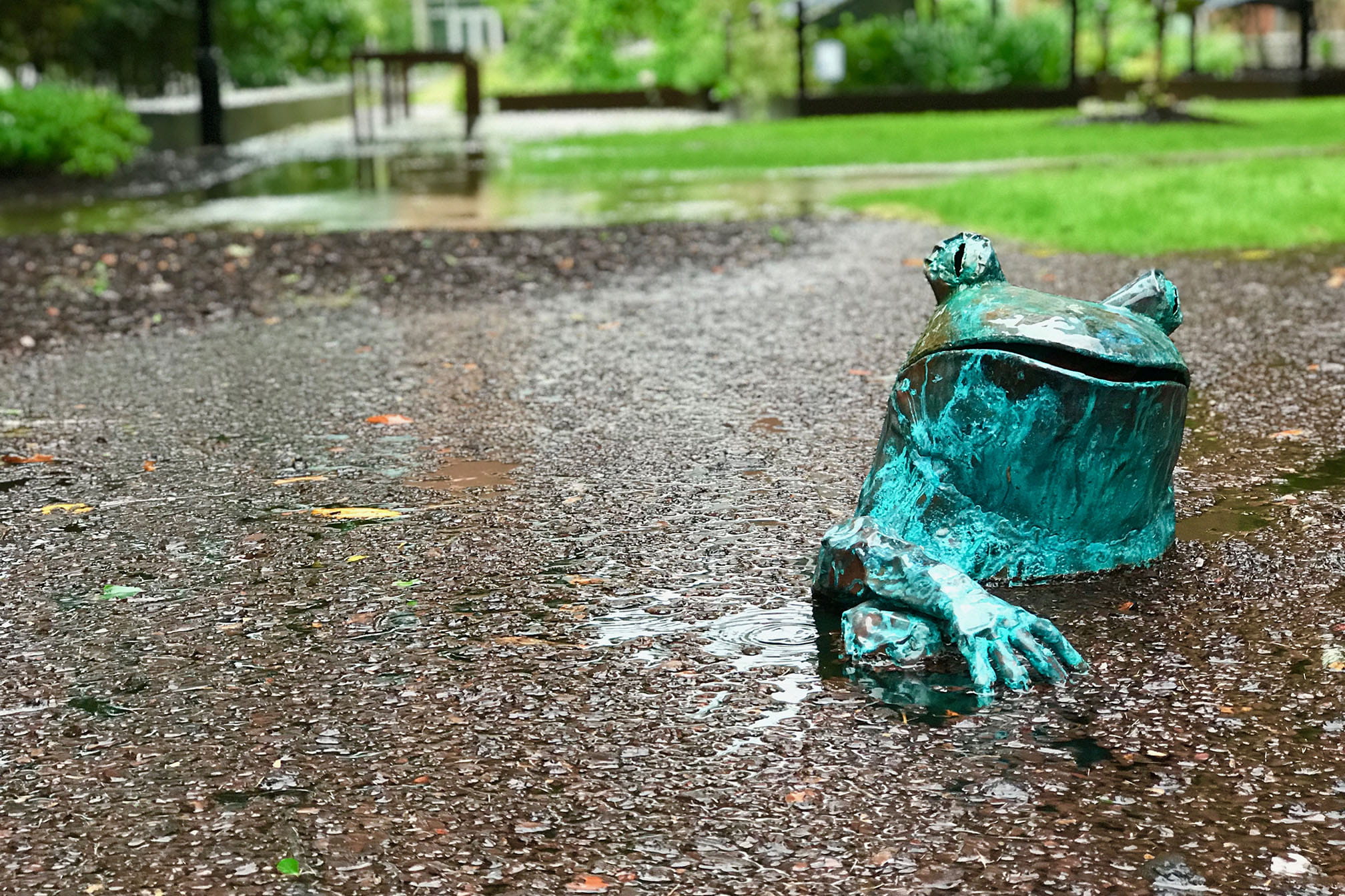 Statue of frog in floodwaters at MUSC