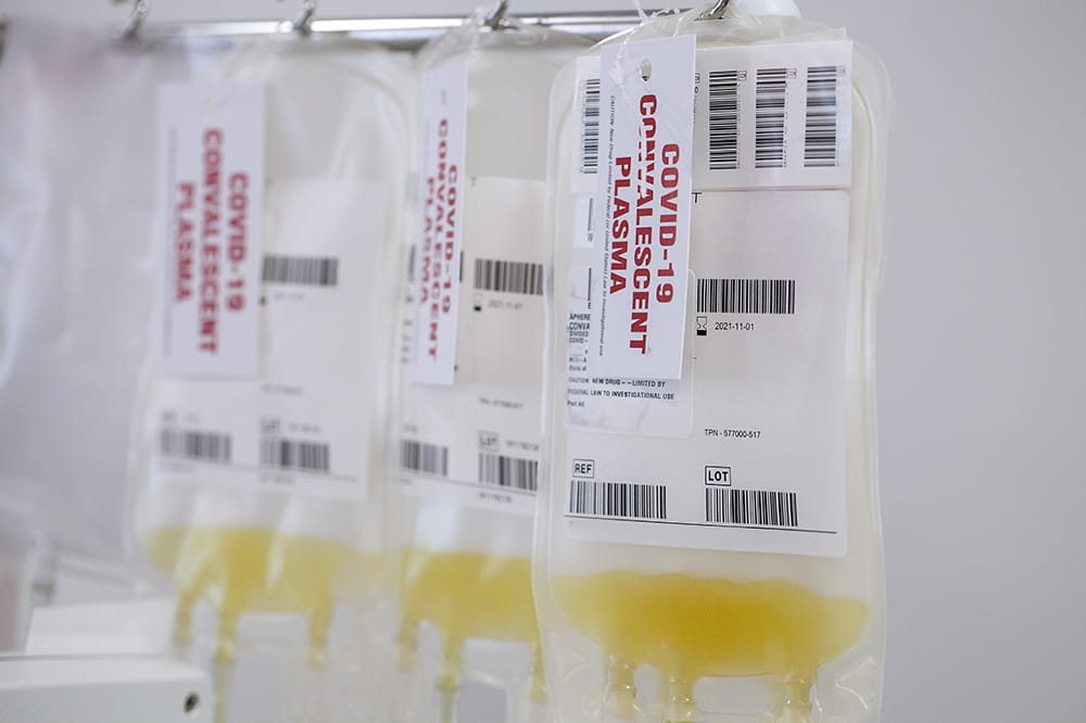intravenous bags filling up with yellow blood plasma hang on a pole
