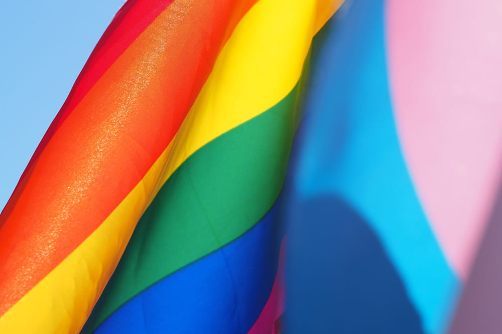 closeup of a pride rainbow flag and a transgender flag flying