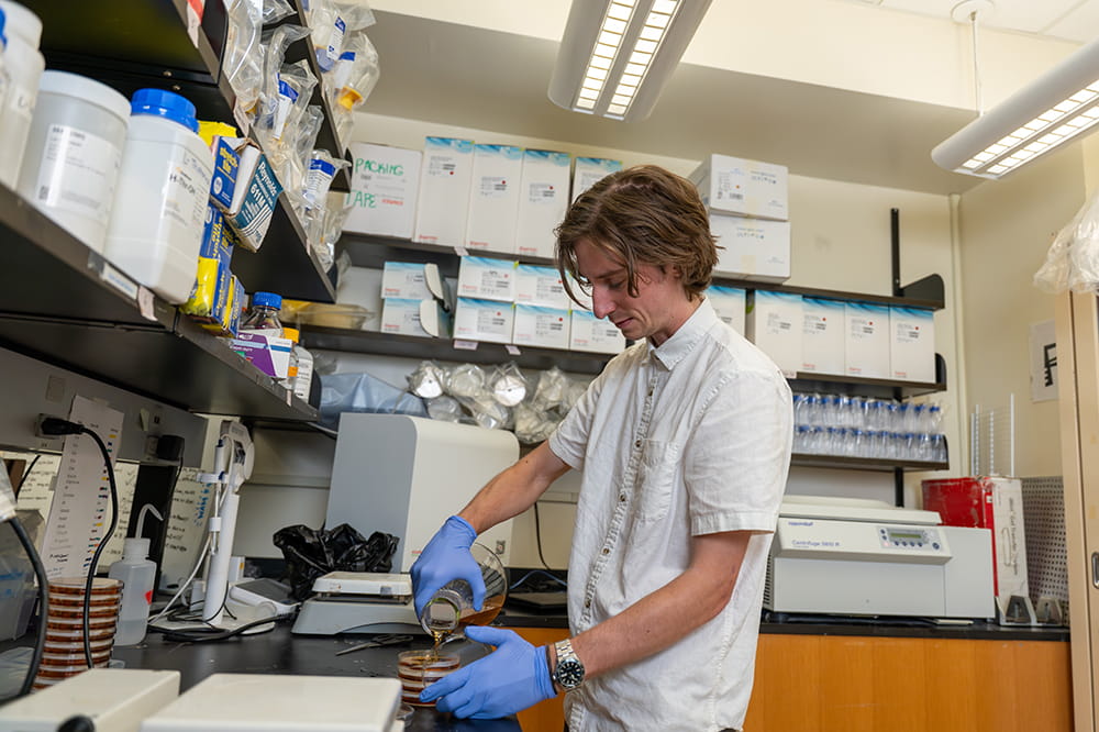 a young man works in a cancer lab
